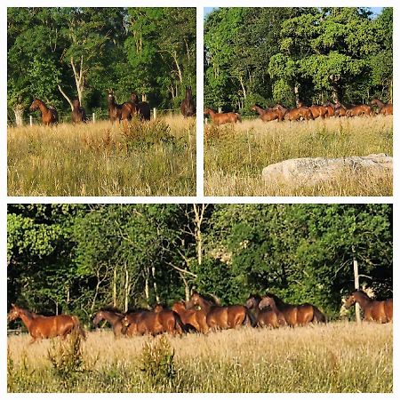 Les Naturelles Saint-Aubin-de-Locquenay Bagian luar foto